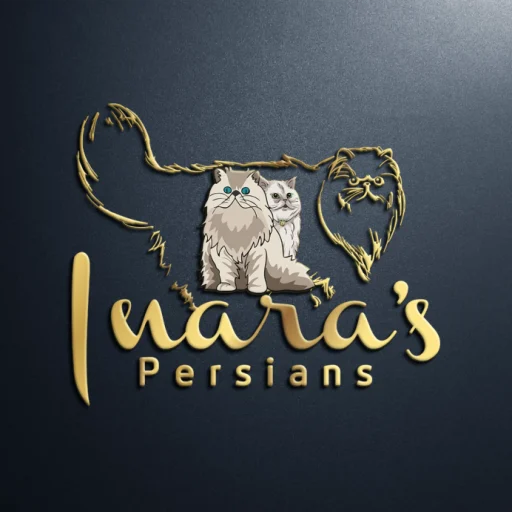 cropped-INARAS-PERSIANS-2-JPEG-2-2-1024x691-1.webp