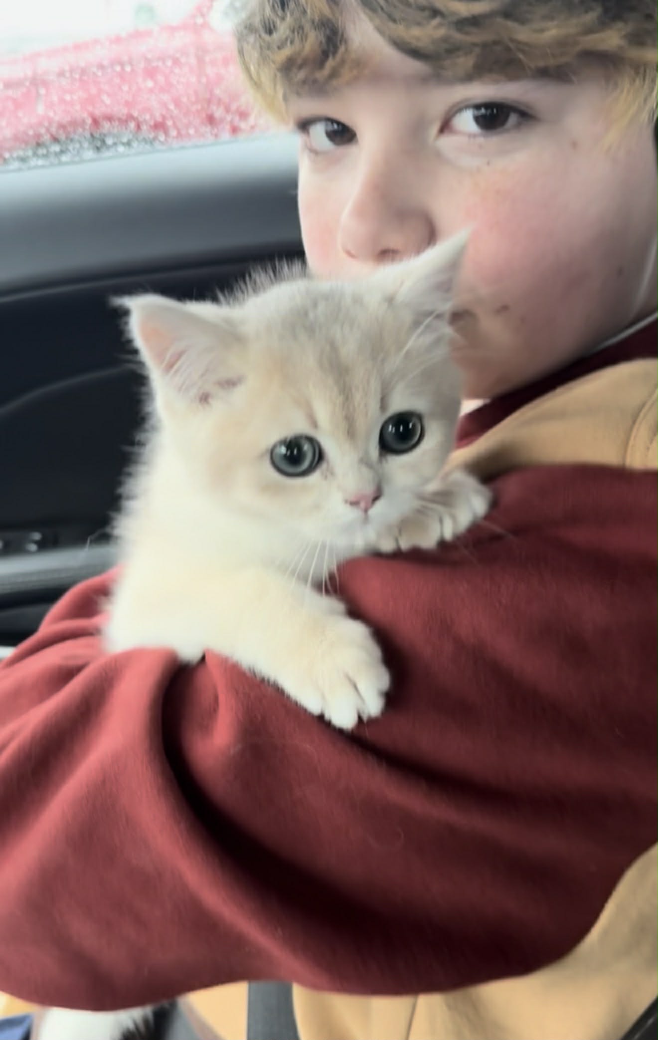 Fisher helping deliver a kitten