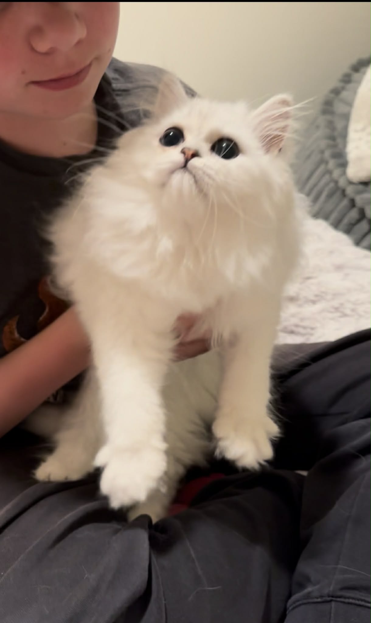 Fisher with a kitten